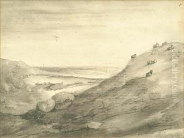 A Flock Of Sheepresting On A Hill Top - view 1