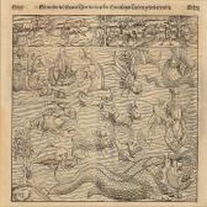 Seewunder Und Seltzame Thier Wie In Den Mitnachtigenlandern Gefunden Werden Seewunder Und Seltzame Thier Wie In Den Mitnachtigenlandern Gefunden Werden