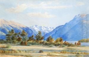Wairau Valley, Marlborough by Charles Adolphus Muntz
