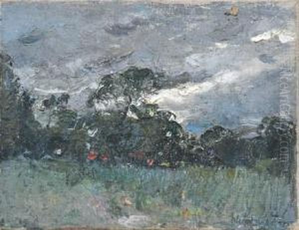 Landscape - view 1