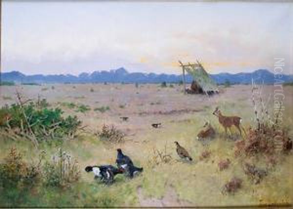 Biches Et Poules Faisannes Dans La Steppe - view 1