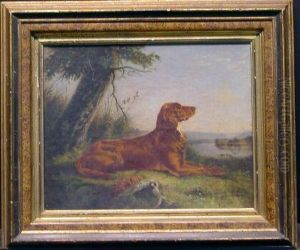 Setter Seated In A Landscape by C.R. Murdoch