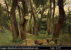 Untitled by Ovidio Murgia De Castro
