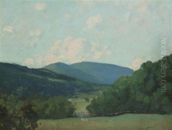 In Summer - view 1