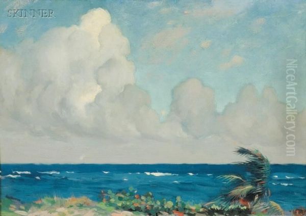 The Blue Sea - view 1