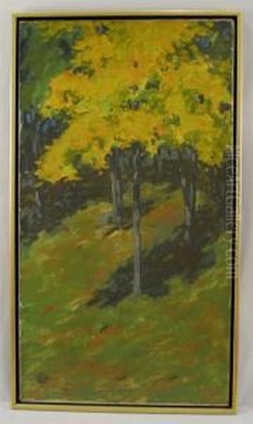 Autumn Shadows - view 1