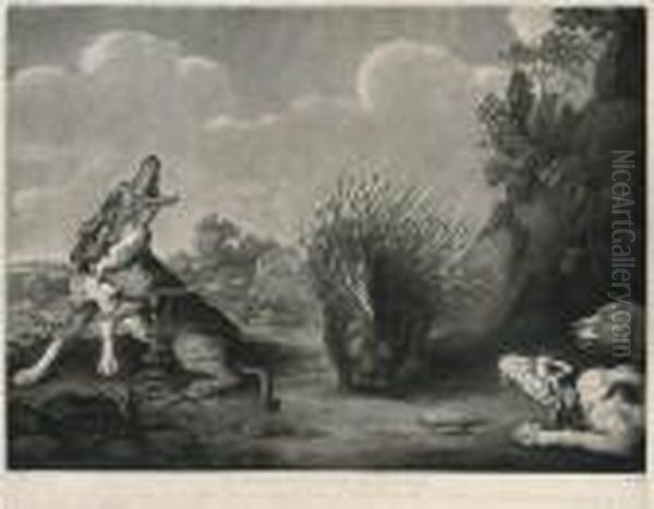 A Porcupine & Dogs - view 1