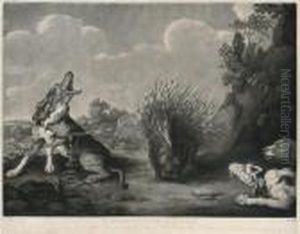 A Porcupine & Dogs by John Murphy