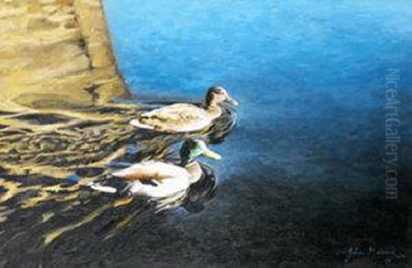 Two Ducks - view 1
