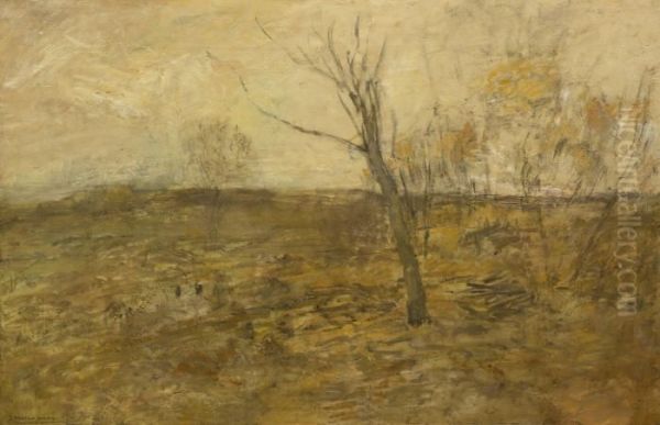 Edge Of A Clearing - view 1