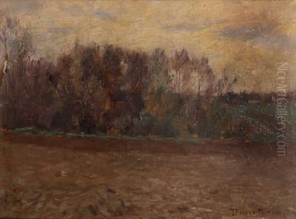 Road By A Stand Of Trees In Autumn - view 1
