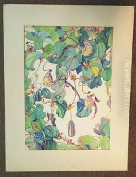 Vines - view 1