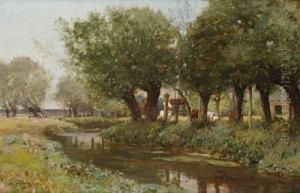 Cattle By A Stream