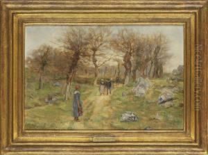 A Walk In The Country