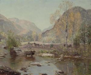 Autumn Gently Tints The Glen