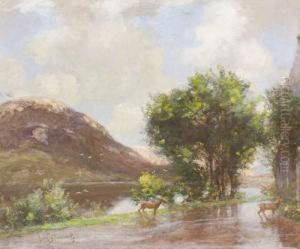 Deer By Loch