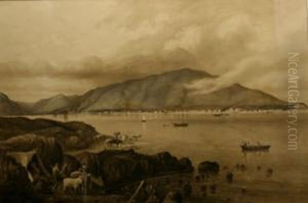 Harbour View, New Zealand - view 1