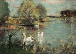 The Swan Lake