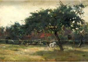 A Sunlit Pasture