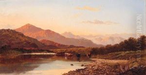 Cattle Watering In A Mountainous River Landscape Cattle Watering In A Mountainous River Landscape