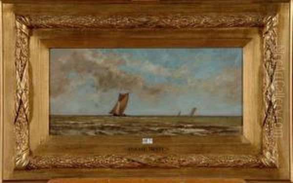Marine - view 1