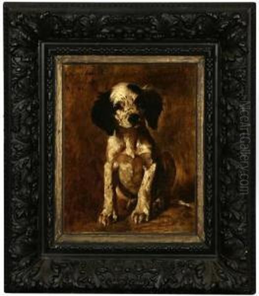 Spaniel Puppy - view 1