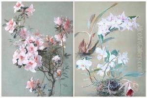 Botanical Studies Of Orchids And Azaleas by William Mussill