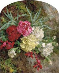 Carnations And Fuschias