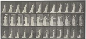 Animal Locomotion by Eadweard Muybridge