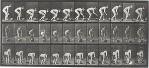 Animal Locomotion by Eadweard Muybridge