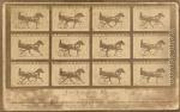 The Horse In Motion - view 1