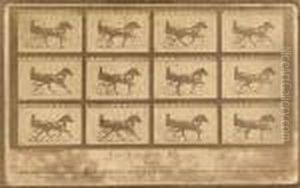 The Horse In Motion