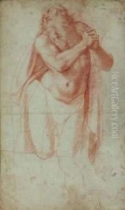 Etude Pour Un Saint Jerome by Girolamo Muziano