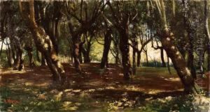 Effetti Di Luce