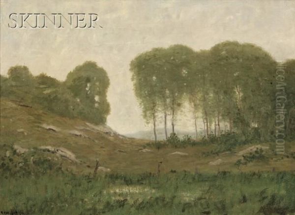 Landscape With A Stand Of Trees - view 1