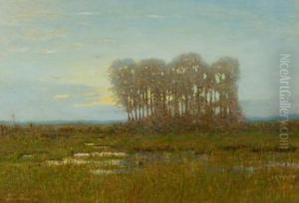 Moonlight On The Marshes - view 1