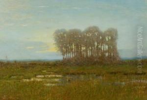 Moonlight On The Marshes by Robertson K. Mygatt