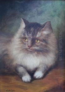 A Favourite Cat