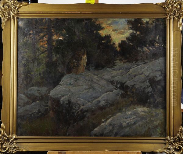 Uggla Ivinternatt - view 1