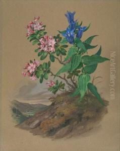 Bergblumen Mit Ansicht Des Klosters Tegernsee. by Franz Xaver Nachtmann