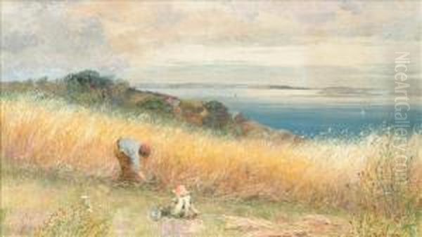 Reaping - view 1