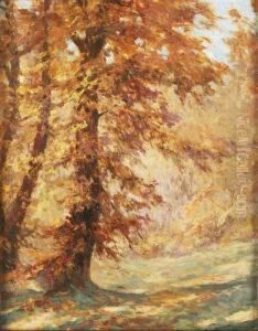 Aranylo Osz by Janos Nagy Balogh