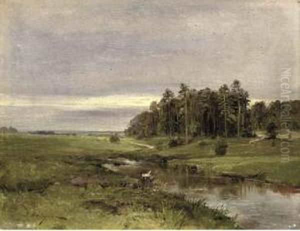 A Stream At The Edge Of A Forest - view 1