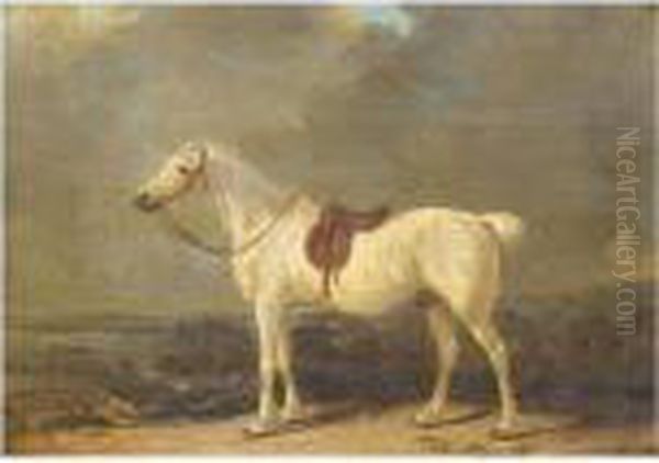 A Saddled Grey Hunter In A Landscape - view 1