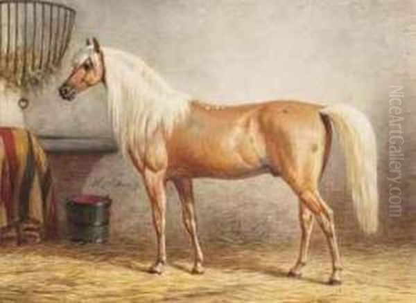 A Horse In A Stable - view 1
