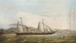 Attribua Steam Yacht Of The New Brighton Yacht Club by George Alexander Napier
