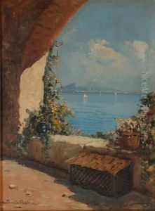 Pergolato Sullo Sfondo Del Vesuvio