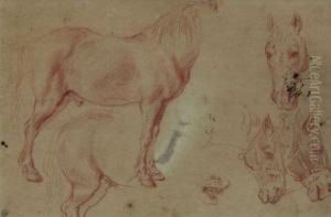Feuille D'etudes De Chevaux Feuille D'etudes De Chevaux