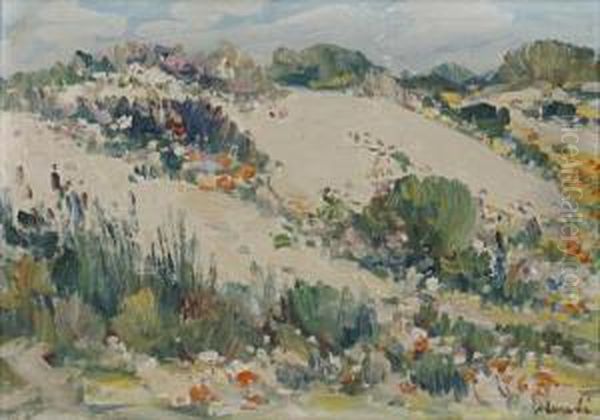 Sand Hills Near Darling - view 1
