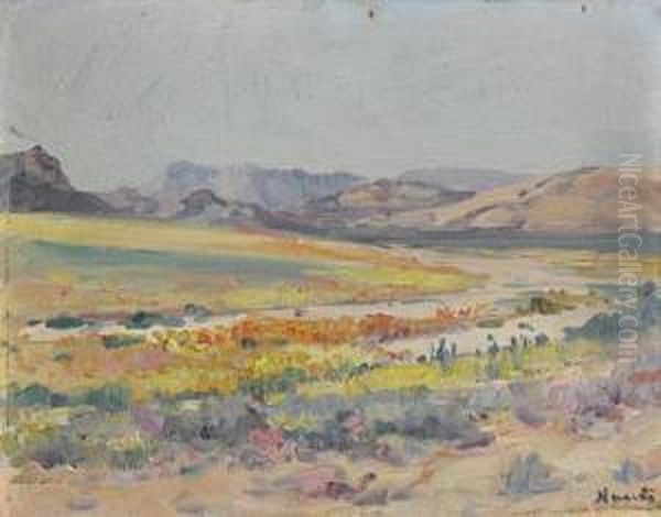 Yellow Flowers, Namaqualand - view 1